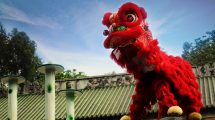 Lion Dance & Kung Fu Demonstration Chinese New Year