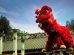 Lion Dance & Kung Fu Demonstration Chinese New Year